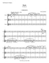 BIRDS | for 3 C Flutes | Complete (Part I, II, III)  | by Herman Beeftink | Score and all Parts (DIGITAL DOWNLOAD)