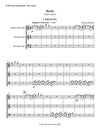BIRDS | for Recorders | Complete (Parts I, II, III)  | by Herman Beeftink | Score and all Parts (DIGITAL DOWNLOAD)