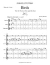 BIRDS | for Piccolo, Flute, and Alto Flute | Complete (Parts I, II, III) | by Herman Beeftink | Score and all Parts (DIGITAL DOWNLOAD)