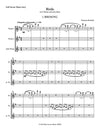 BIRDS | for 2 Flutes and Alto Flute | Complete (Parts I, II, III)  by Herman Beeftink | Score and all Parts (DIGITAL DOWNLOAD)