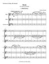 BIRDS | for 2 Flutes and B flat Clarinet | Complete (Parts I, II, III)  by Herman Beeftink | Score and all Parts (DIGITAL DOWNLOAD)