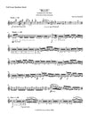 BLUE | Fantasia for Solo Flute (BEATBOX FLUTE)| by Herman Beeftink | Sheet Music (DIGITAL DOWNLOAD)
