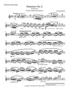 FLAMENCO 2 | Flute Solo | by Herman Beeftink | Sheet Music (DIGITAL DOWNLOAD)
