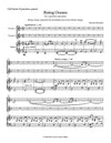 RISING OCEANS | Two Piccolos and Piano | by Herman Beeftink | Score and all parts (DIGITAL DOWNLOAD)