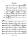 STOWAWAY | for Flute Orchestra | by Herman Beeftink | Score and all Parts (DIGITAL DOWNLOAD)