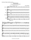 STOWAWAY | for Flute soloist and Ensemble | by Herman Beeftink | Score and all Parts (DIGITAL DOWNLOAD)