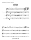 STOWAWAY| for Quartet | by Herman Beeftink | Score and all Parts (DIGITAL DOWNLOAD)