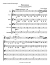 STOWAWAY | for Solo Flute and Strings | by Herman Beeftink | Score and all Parts (DIGITAL DOWNLOAD)