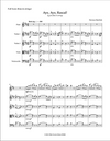 AYE, AYE, RASCAL! | for Flute and Strings | by Herman Beeftink | Score and all Parts (DIGITAL DOWNLOAD)