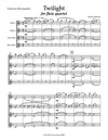 TWILIGHT | Flute Quartet (2 fl, Alto fl, Bass fl) | by Herman Beeftink | Score and all Parts (DIGITAL DOWNLOAD)