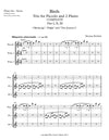 BIRDS | Piccolo and 2 Flutes | Complete (Parts I, II, III) | by Herman Beeftink | Score and Parts (DIGITAL DOWNLOAD)