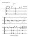 BIRDS | for Saxophone Trio (Soprano, Alto, Tenor) | Part II "Flight" | by Herman Beeftink | Score and Parts (DIGITAL DOWNLOAD)