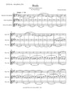 BIRDS | for Saxophone Trio (Soprano, Alto, Tenor) | Part III "The Journey" | by Herman Beeftink | Score and Parts (DIGITAL DOWNLOAD)
