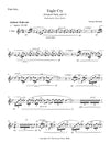 EAGLE CRY (Iroquois Suite, Part 2) | Flute Solo |  by Herman Beeftink | Sheet Music (DIGITAL DOWNLOAD)