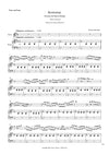 STOWAWAY | for Flute and Piano | by Herman Beeftink | Score and Parts (DIGITAL DOWNLOAD)