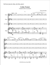 CELTIC FOREST | for Flute Trio and Piano | by Herman Beeftink | Score and all Parts (DIGITAL DOWNLOAD)