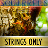 PLAY ALONG - "Squirrels" (flute and strings) - STRINGS ONLY - AUDIO MP3 Accompaniment - Herman Beeftink