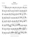 WINGS (Iroquois Suite, Part 4) | Flute Solo | by Herman Beeftink | Sheet Music (DIGITAL DOWNLOAD)