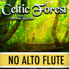 PLAY ALONG "Celtic Forest" (flute trio and piano) - NO ALTO FLUTE - AUDIO MP3 Accompaniment - Herman Beeftink