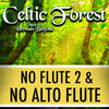 PLAY ALONG "Celtic Forest" (flute trio and piano) - NO FLUTE 2 & NO ALTO FLUTE - AUDIO MP3 Accompaniment - Herman Beeftink