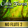 PLAY ALONG "Celtic Forest" (flute trio and piano) - NO FLUTE 2 - AUDIO MP3 Accompaniment - Herman Beeftink