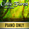 PLAY ALONG "Celtic Forest" (flute trio and piano) - PIANO ONLY - AUDIO MP3 Accompaniment - Herman Beeftink